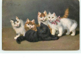 Groupe De Chats - Cats