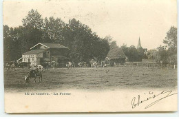 Ile De CHATOU - La Ferme - Vaches - Chatou