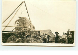 Carte Photo - Travail Du Foin Probablement Aux Etats-Unis - Landwirtschaftl. Anbau