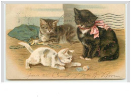 Carte Gaufrée - Chats Jouant - Cats