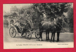 AB154  ANIMAUX CHEVAUX  COCHER ET SON ATTELAGE   PHAETON  BEAU PLAN HARNAIS CHEVAUX LEGERS - Autres & Non Classés