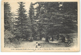 SEMBADEL-GARE - Forêt Du Bois-Noir - La Cueillette Des Myrtilles - Andere & Zonder Classificatie