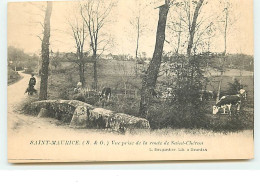 SAINT-MAURICE - Vue Prise De La Route De Saint-Chéron - Other & Unclassified