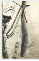 RPPC - Singapour 1935 - Marin Regardant Un Requin Pêché - Singapore