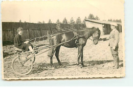 Lettonie - RPPC - RIGA 1936 - Femme Sur Un Sulky - Hippisme - Latvia