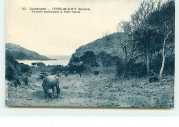 TERRE-DE-HAUT - Chemin Conduisant à Pont Pierre - Autres & Non Classés