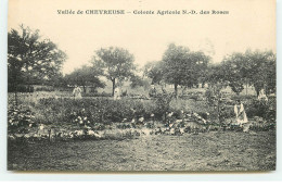 Vallée De Chevreuse - Colonie Agricole N.-D. Des Roses - Travaux Dans Un Jardin - Autres & Non Classés