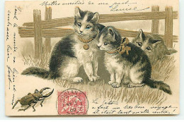 Carte Gaufrée  - Animaux - Chats - Chats Regardant Un Scarabée Capricorne (Lucane) - Cats