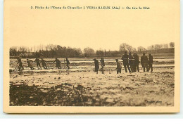 Pêche De L'Etang De Chapelier à VERSAILLEUX - On Tire Le Filet - Ohne Zuordnung
