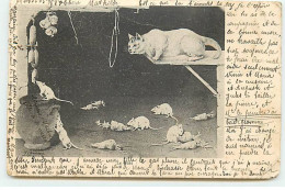 Animaux - Chat Regardant Des Souris Volant De La Nourriture - Cats