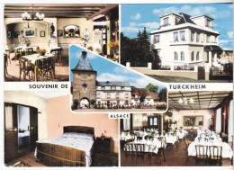 Turckheim - Hotel Restaurant Muller ( Plusieurs Vues ) - Turckheim