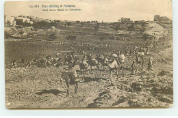 Palestine - Road Building In Palestine - Tracé D'une Route En Palestine - Palestine