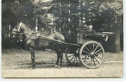 Carte Photo à Localiser - Un Homme Dans Une Calèche - To Identify