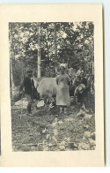 Carte Photo à Localiser - Une Famille Près D'un Attelage De Boeuf Sous Des Arbres - Te Identificeren