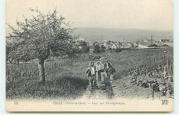 TRIEL - Vue Sur Pissefontaine - Offert Par Javel Cotelle-Croix - Vigne - Triel Sur Seine