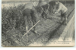 Centre De Réadaptation Aux Travaux Agricole De GRIGNON -  34 Travaux De Jardinage - Grignon