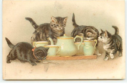 Animaux - Chats - Chats Lapant Du Lait Dans Des Tasses De Thé - Katzen