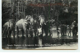 Sri Lanka - Ceylon - Temple Elephants At Katugastota River Near Kandy - Sri Lanka (Ceilán)