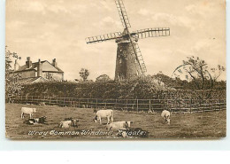 SURREY - Wray Gommon Windmill, Reigate - Moulin à Vent - Molen - Surrey