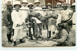 SINGAPOUR - RPPC - Method Of Carrying Cobra - Snake - Singapour