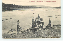 Suède - Pêche Au Saumon - Laxfiske, Gardsn°s, Angermanelfven - Suède