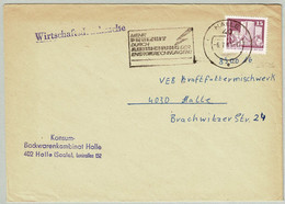 DDR 1981, Brief Halle, Energie / Energy, Wirtschaftsdrucksache - Sonstige & Ohne Zuordnung