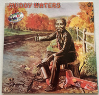 MUDDY WATERS - Chicago Golden Years 5 - 2 LP - 1980 - French Press - Blues