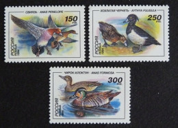 RUSIA 1994 - AVES - PAJAROS - PATOS - YVERT 6078/6080** - Unused Stamps