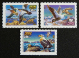 RUSIA 1993 - AVES - PAJAROS MARINOS - YVERT 6005/6007** - Other & Unclassified