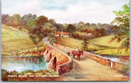 BELFAST - Shaw;s Bridge And Cottage - Artist E.W. TRICK - Valentine Art Colour 1043 - Belfast