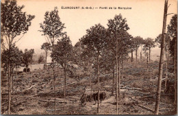 (22/05/24) 78-CPA ELANCOURT - Elancourt