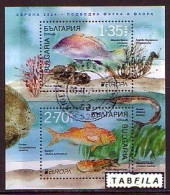 BULGARIA - 2024 - Europa-CEPT - Marine Flora And Fauna - Bl Used - Gebraucht