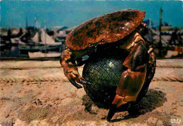 Animaux - Crabe - CPM - Voir Scans Recto-Verso - Pescados Y Crustáceos