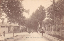 BLIDA - Avenue Des Moulins - Blida