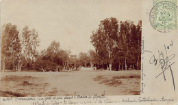 Tunisie - MARETH - La Prise D'eau Dans L'Oasis - CARTE PHOTO Année 1904 - Ed. In - Tunisie