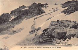 Troupeau De Moutons Traversant Le Col Du Géant (74) - Ed. J.J. Jullien 5611 - Other & Unclassified