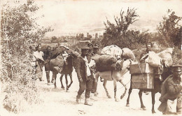 Bulgaria - World War One - Mule Train Of The Bulgarian Army Marching To The Front In Macedonia - REAL PHOTO - Bulgarien