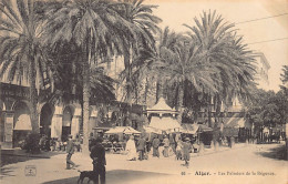 ALGER - Les Palmiers De La Régence - Alger