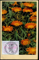 Gentse Floraliën, Sint-Denijs-Westrem - Commemorative Documents