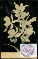 Cattleya 'Lucien De Metter', Vilvoorde - Documents Commémoratifs