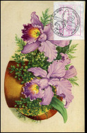 Cattleya 'Lucien De Metter', Vilvoorde - Commemorative Documents