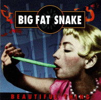 Big Fat Snake - Beautiful Thing. CD - Rock