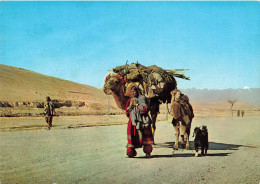 Afghanistan * Nomads - Afganistán