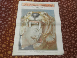 Le Grand Illustré, La Dépêche, Toulouse, 1906, Le Cirque, Métier De Dompteur, Révolution En Russie, Lettres Explosives - 1900 - 1949