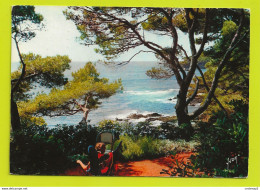 83 GIENS Vers Hyères N°33 Hôtel Le Provençal Les Jardins En 1964 - Hyeres