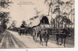 Les Landes Animée Attelages De Mules Anes ânes - Other & Unclassified