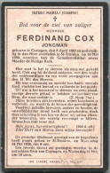 Bidprentje Kuringen - Cox Ferdinand (1869-1930) - Devotion Images