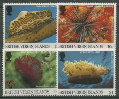 Britische Jungferninseln 1998 Meerestiere 932/35 Postfrisch - Iles Vièrges Britanniques