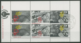 Niederlande 1979 Voor Het Kind Jahr Des Kindes Block 20 Gestempelt (C95005) - Blocks & Sheetlets