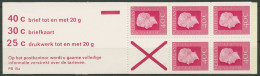 Niederlande 1973 Königin Juliana Markenheftchen MH 16 Postfrisch (C95990) - Markenheftchen Und Rollen